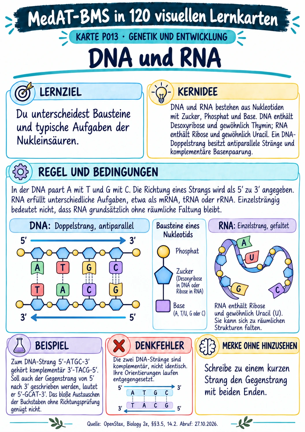 MedAT-BMS · DNA und RNA